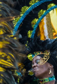 Leeds Carnival ©2013 Carl Milner No_18