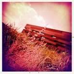 Infra-red Hipstamatic
